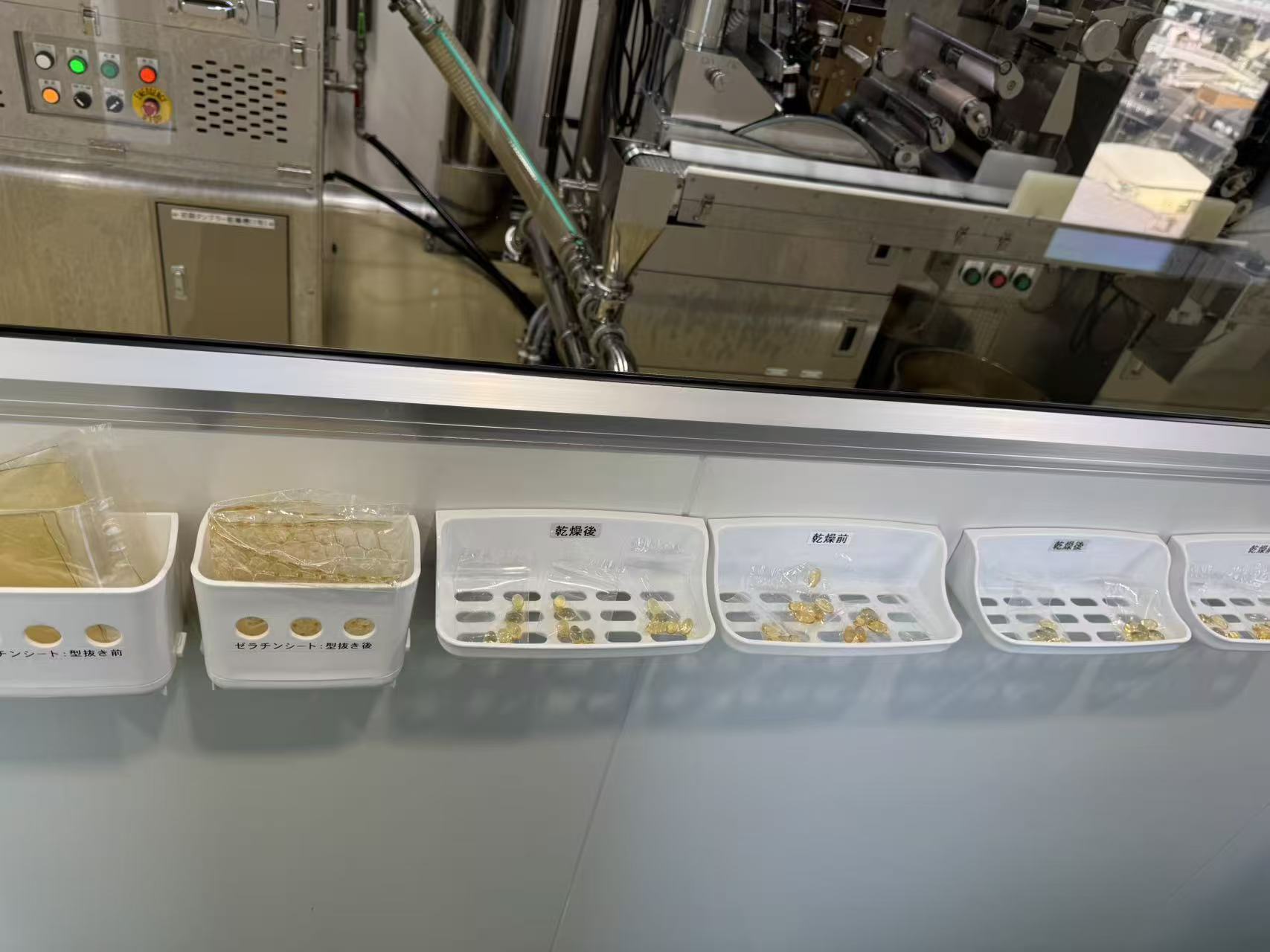 Softgel production line in Japan